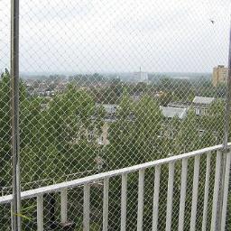 Insectddd - Balkon zabezpieczony siatką ochronną przed ptakami, widok na miasto zza siatki, biała balustrada.